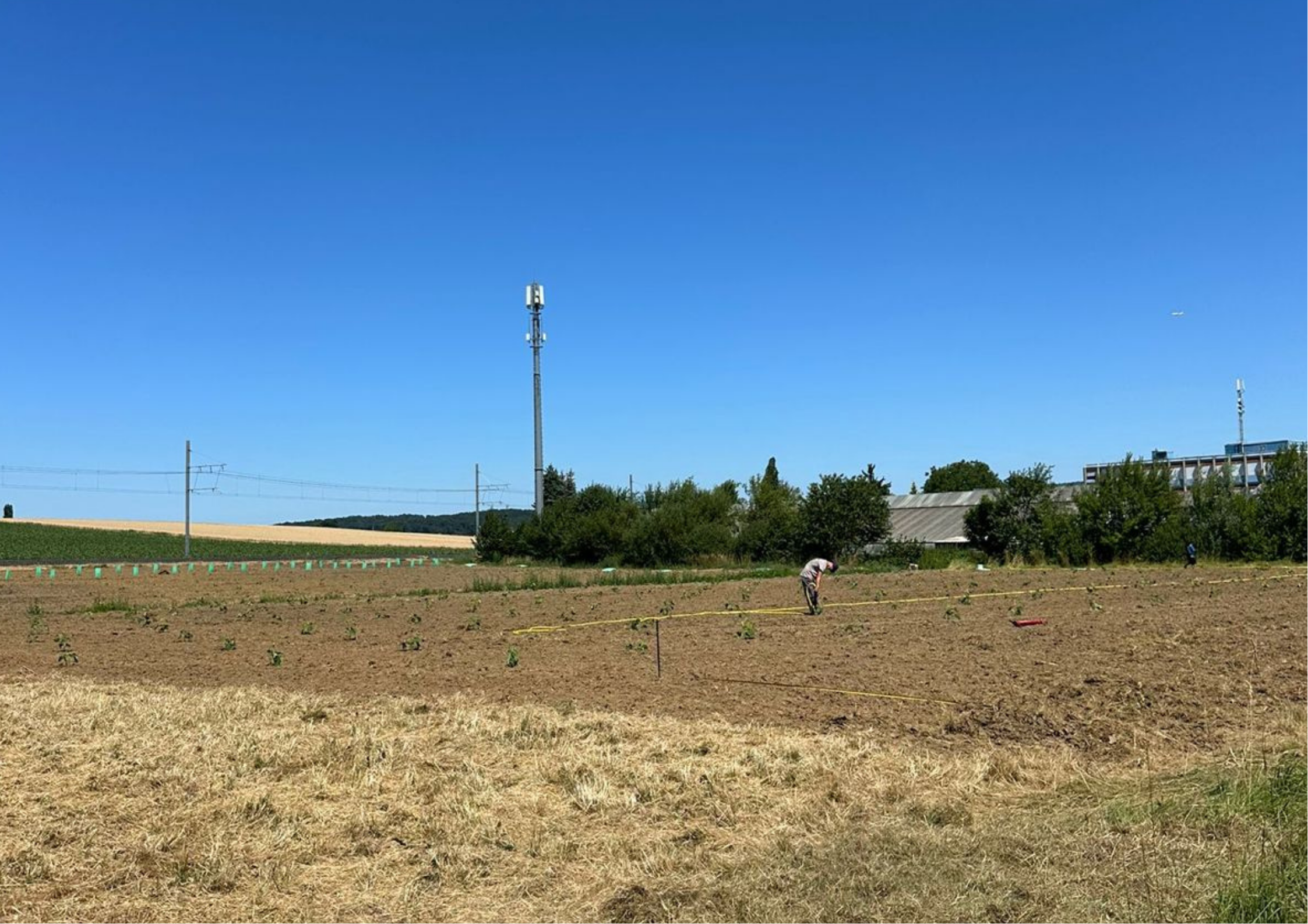 Naturbasierter Klimaschutz 2026: Was sich im Markt verändert
